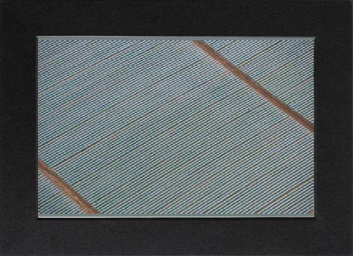 Gerahmter Druck : Polytunnel 24597 / 04 Gerahmter Druck : Polytunnel 24597 / 04