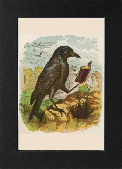 Gerahmter Druck : Kuckucksrobin 1 Gerahmter Druck : Kuckucksrobin 1