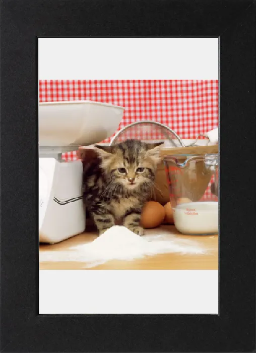 Gerahmter Druck : Katze Tabby - Kätzchen mit Mehl auf Nase und Bart, von Schildkröten aus Schalen und einer Mischbowl Gerahmter Druck : Katze Tabby - Kätzchen mit Mehl auf Nase und Bart, von Schildkröten aus Schalen und einer Mischbowl