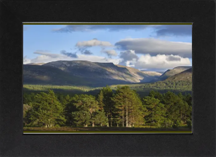 Gerahmter Druck : Schottland, schottische Hochländer, Cairngorms-Nationalpark Gerahmter Druck : Schottland, schottische Hochländer, Cairngorms-Nationalpark