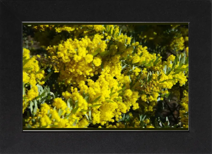 Gerahmter Druck : Color Surge Gerahmter Druck : Color Surge
