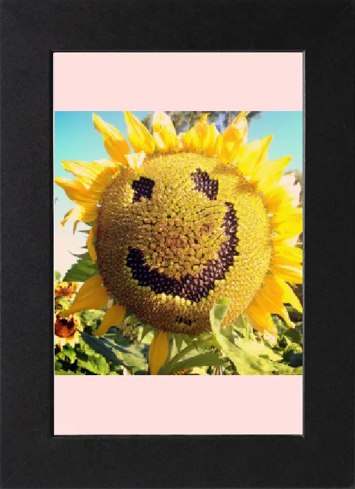 Gerahmter Druck : Glücklicher Sonnenblume Gerahmter Druck : Glücklicher Sonnenblume