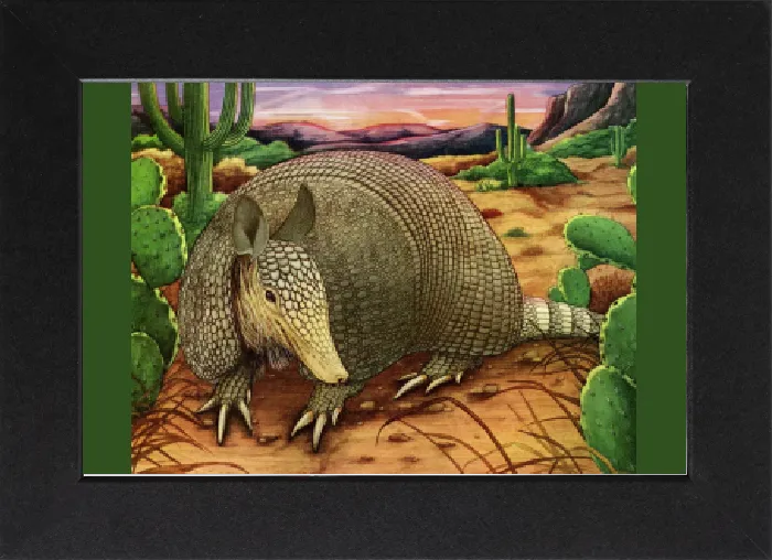 Gerahmter Druck : Ein Armadillo in der Wüste Gerahmter Druck : Ein Armadillo in der Wüste