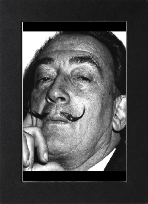 Gerahmter Druck : Porträt von Salvador Dali Gerahmter Druck : Porträt von Salvador Dali