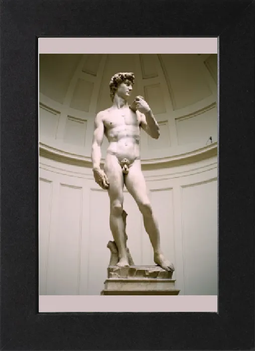 Gerahmter Druck : Büste des David im Galleria dell'Accademia in Florenz Italien Gerahmter Druck : Büste des David im Galleria dell'Accademia in Florenz Italien