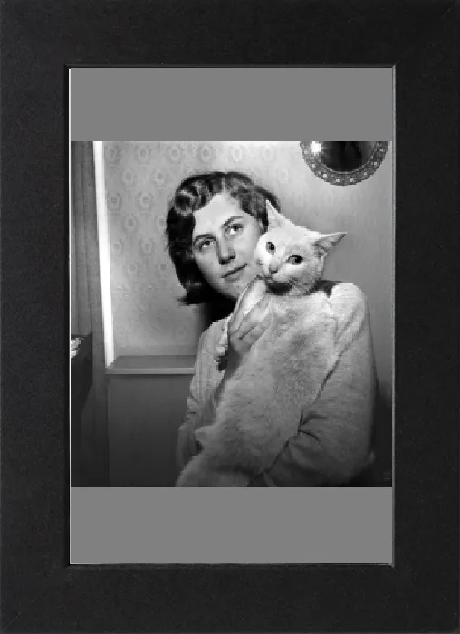 Gerahmter Druck : Menschen mit Tieren: Eine Frau hält ihren Haustierkatze hoch. November 1969 Z10902 Gerahmter Druck : Menschen mit Tieren: Eine Frau hält ihren Haustierkatze hoch. November 1969 Z10902
