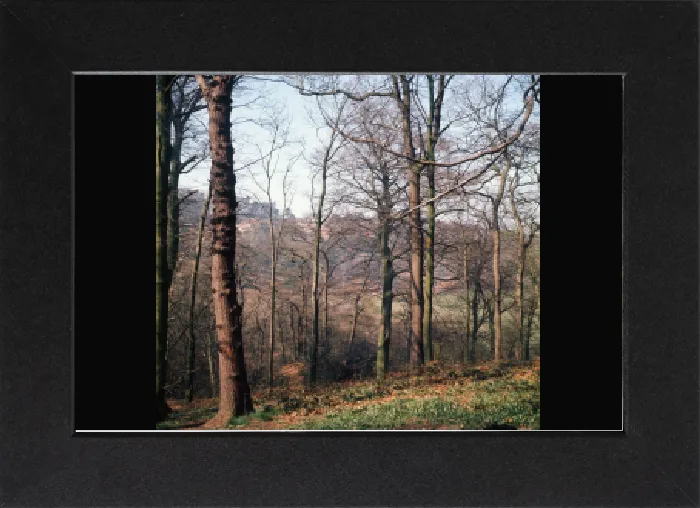 Gerahmter Druck : Alderley Edge, Cheshire - April 1974 Gerahmter Druck : Alderley Edge, Cheshire - April 1974