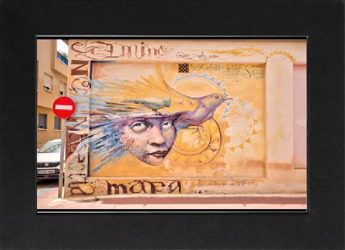 Gerahmter Druck : Straßenkunst, Graffiti, Mural, Kunstwerk, Los Alcázares, Menor, autonome Region Murcia, Spanien Gerahmter Druck : Straßenkunst, Graffiti, Mural, Kunstwerk, Los Alcázares, Menor, autonome Region Murcia, Spanien