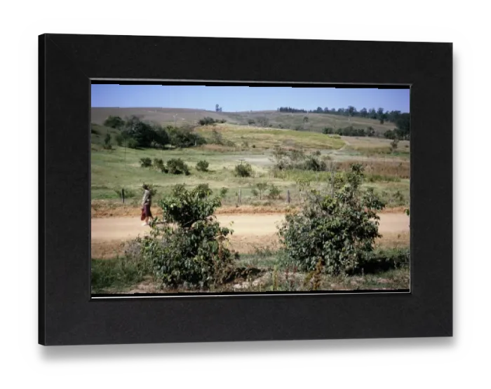 Gerahmter Druck : Touristischer Besucher geht im Freien, Fazenda Sant Anna, Campinas, Brasilien, Südamerika 1962.