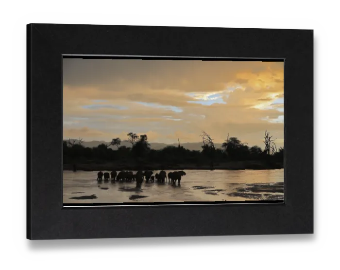 Gerahmter Druck : Afrikanischer Elefant (Loxodonta africana) Gerahmter Druck : Afrikanischer Elefant (Loxodonta africana)