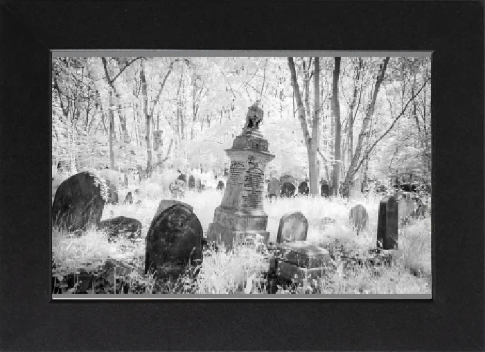 Gerahmter Druck : Geistergräber im Highgate-Friedhof in London in Schwarz-Weiß. Gerahmter Druck : Geistergräber im Highgate-Friedhof in London in Schwarz-Weiß.