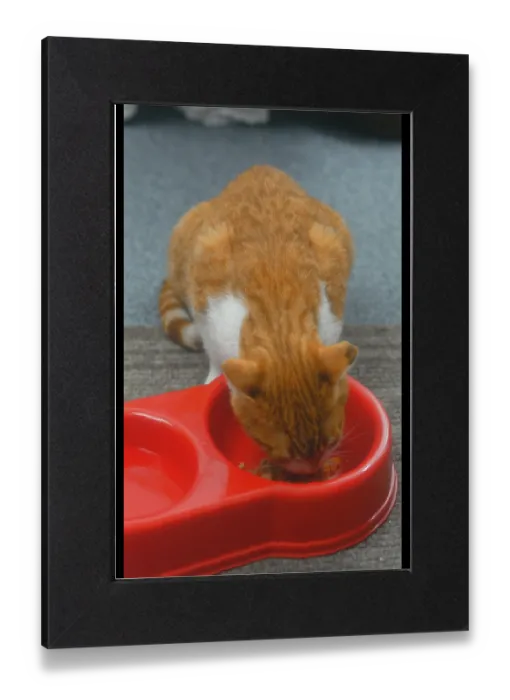Gerahmter Druck : Kat isst Essen.