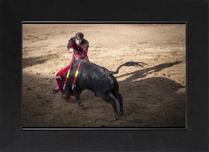 Gerahmter Druck : Torero kurz vor dem Todesstoß. Gerahmter Druck : Torero kurz vor dem Todesstoß.