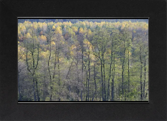 Gerahmter Druck : Blick über den Herbstwald, Arnsberger Wald Naturpark. Gerahmter Druck : Blick über den Herbstwald, Arnsberger Wald Naturpark.