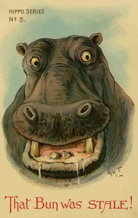 Gerahmter Druck : Hippo. Komische Zeichnung eines Hippopotamus Gerahmter Druck : Hippo. Komische Zeichnung eines Hippopotamus