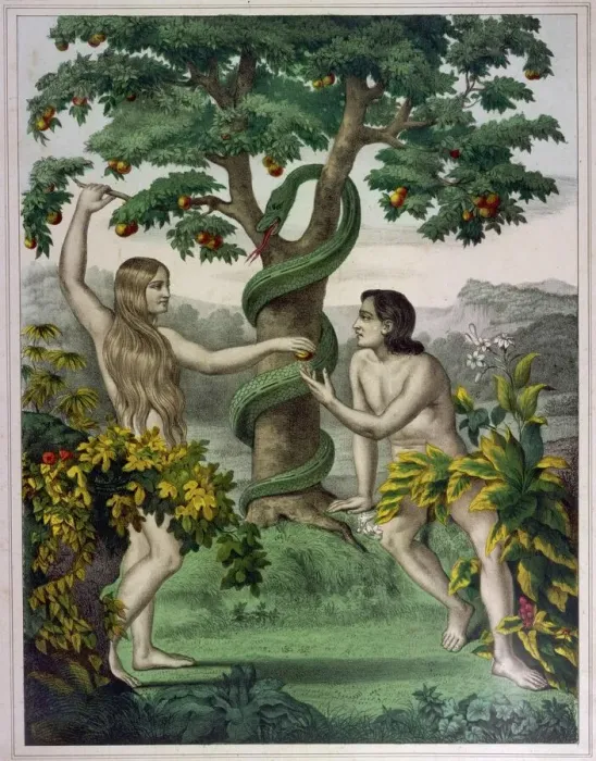 Gerahmter Druck : Adam, Eva, Schlangen Gerahmter Druck : Adam, Eva, Schlangen