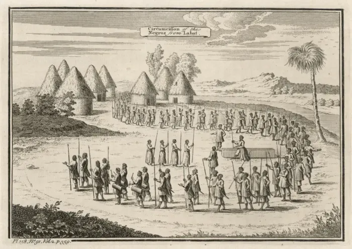 Gerahmter Druck : Afrikanische Zirhlinge Gerahmter Druck : Afrikanische Zirhlinge