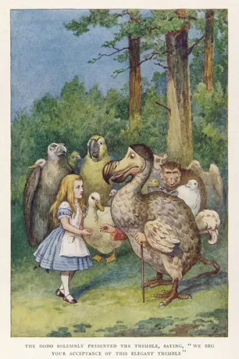 Gerahmter Druck : Alice und der Dodo Gerahmter Druck : Alice und der Dodo