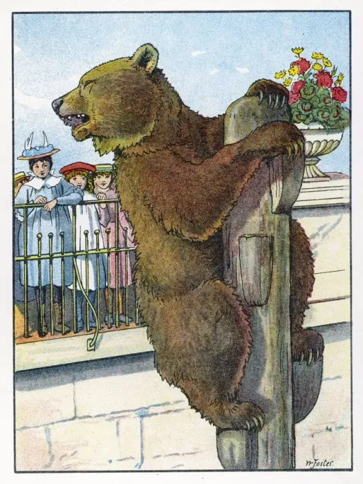 Gerahmter Druck : Bären / Buch der Tiere Gerahmter Druck : Bären / Buch der Tiere