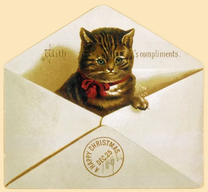 Gerahmter Druck : Katze in der Postkarte Gerahmter Druck : Katze in der Postkarte