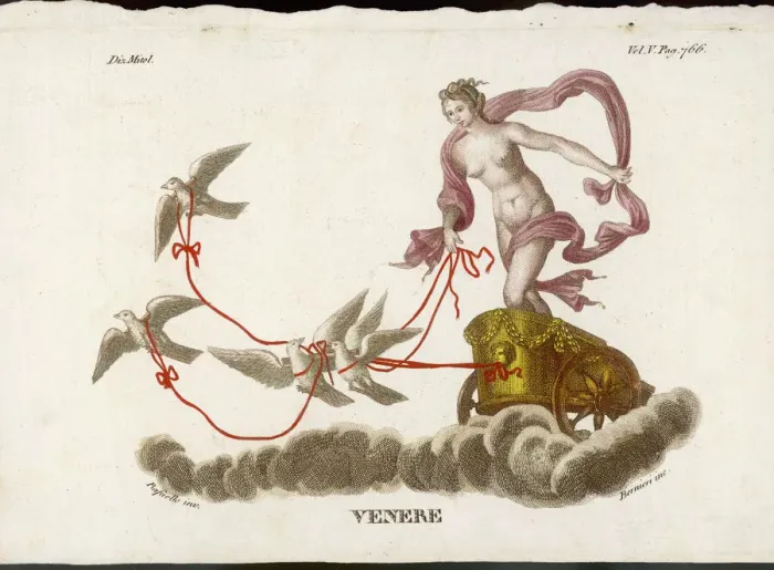 Gerahmter Druck : Venus und Aphrodite Gerahmter Druck : Venus und Aphrodite