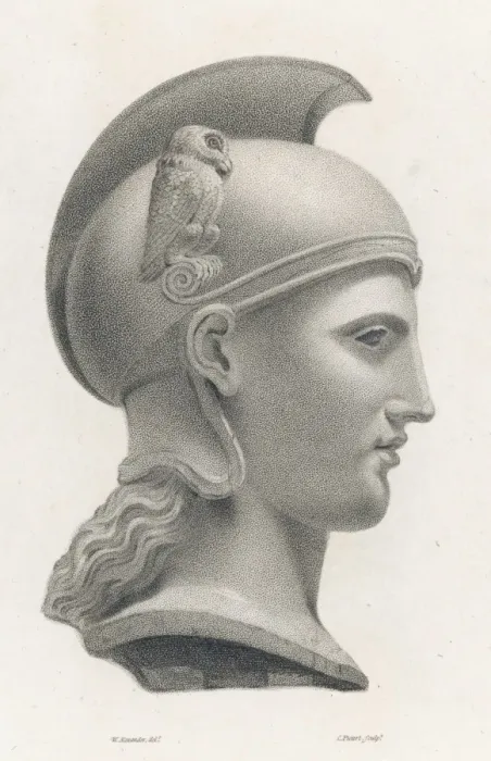 Gerahmter Druck : Athena / Minerva Büste Gerahmter Druck : Athena / Minerva Büste