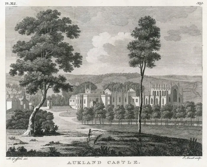 Gerahmter Druck : Aucklands Schloss Gerahmter Druck : Aucklands Schloss