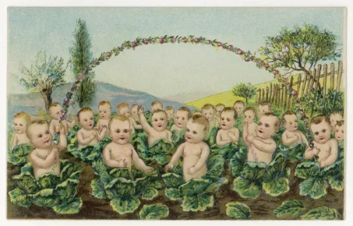 Gerahmter Druck : Kleinkinder im Salatbeutel