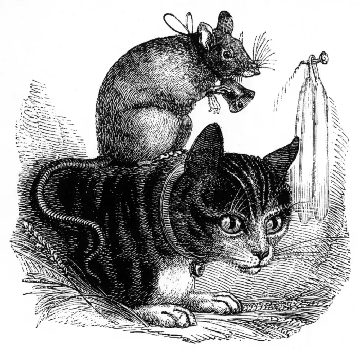 Gerahmter Druck : Die Katze beschneiden Gerahmter Druck : Die Katze beschneiden
