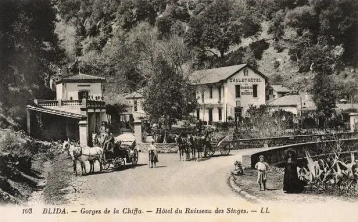 Gerahmter Druck : Blida, Algerien Gerahmter Druck : Blida, Algerien