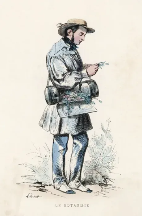 Gerahmter Druck : Botaniker am Werk / 1850 Gerahmter Druck : Botaniker am Werk / 1850