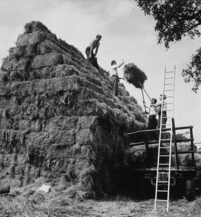 Gerahmter Druck : Aufbau eines Haufens Gerahmter Druck : Aufbau eines Haufens