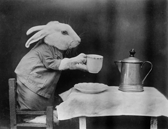 Gerahmter Druck : Kaffeepause mit der Hasen Gerahmter Druck : Kaffeepause mit der Hasen