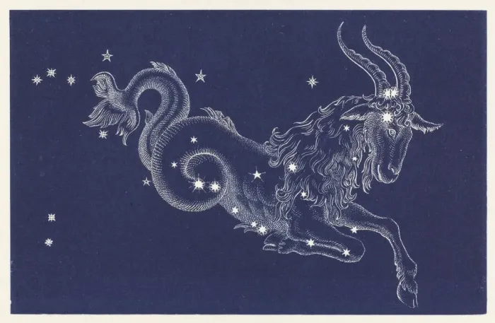 Gerahmter Druck : Capricorn. Die Sternkonstellation Steinbock Gerahmter Druck : Capricorn. Die Sternkonstellation Steinbock