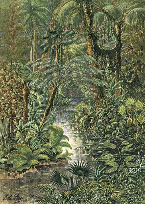 Gerahmter Druck : Karbonferzes Landschaft Gerahmter Druck : Karbonferzes Landschaft