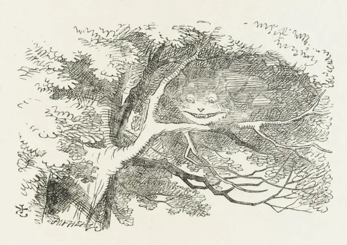 Gerahmter Druck : Karlotta / Katze aus dem Wald Gerahmter Druck : Karlotta / Katze aus dem Wald