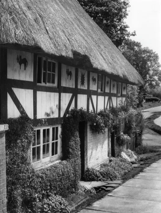 Gerahmter Druck : Die Katzenhütte Gerahmter Druck : Die Katzenhütte