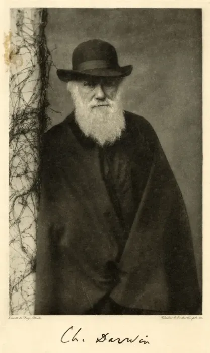 Gerahmter Druck : Karl Darwin in der Spalte Gerahmter Druck : Karl Darwin in der Spalte