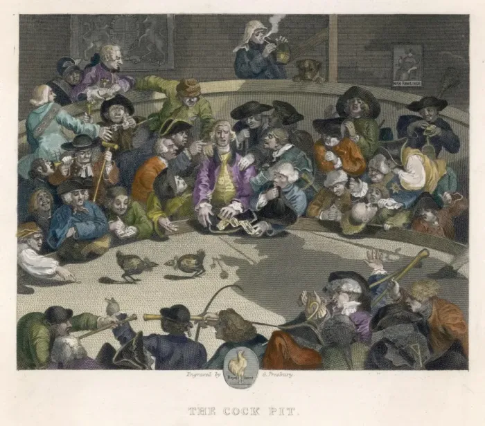 Gerahmter Druck : Kampfkämpfe mit Hühnern / Hogarth / Kol Gerahmter Druck : Kampfkämpfe mit Hühnern / Hogarth / Kol