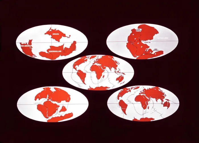 Gerahmter Druck : Kontinentaldrift Gerahmter Druck : Kontinentaldrift