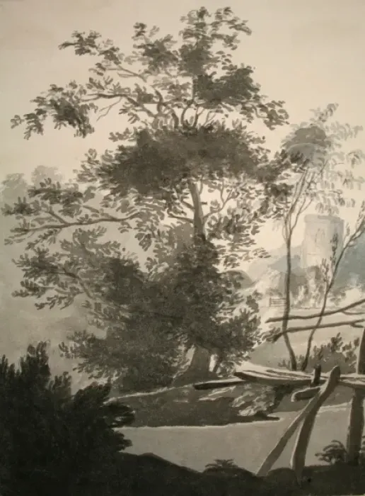 Gerahmter Druck : Landschaftsbild mit Baum Gerahmter Druck : Landschaftsbild mit Baum