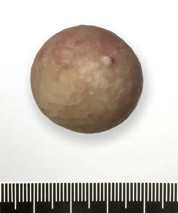 Gerahmter Druck : Kristallapfel - zystoide Echinoderme Gerahmter Druck : Kristallapfel - zystoide Echinoderme
