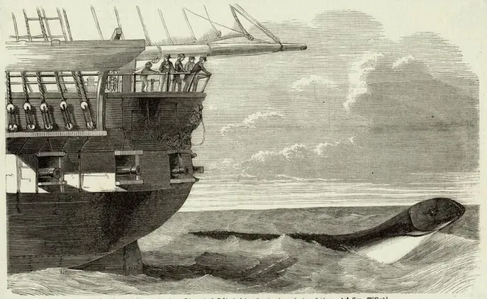 Gerahmter Druck : Das Daedalus Meerwesen Gerahmter Druck : Das Daedalus Meerwesen