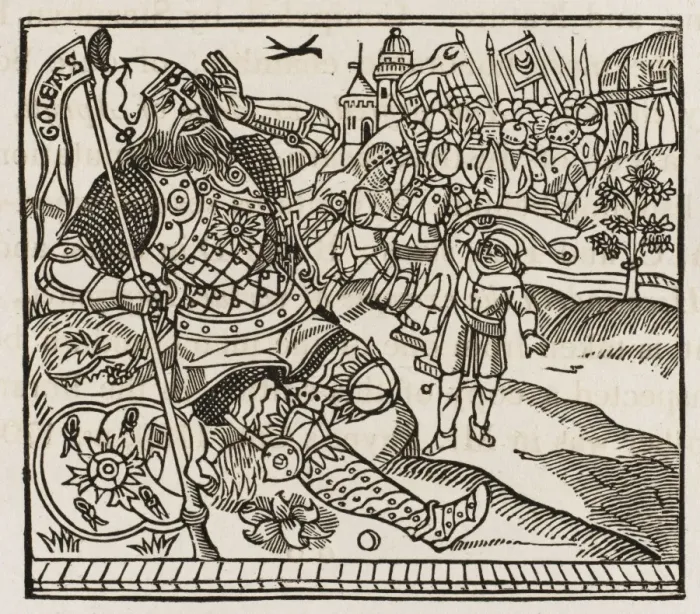 Gerahmter Druck : David und der Riese Goliath Gerahmter Druck : David und der Riese Goliath