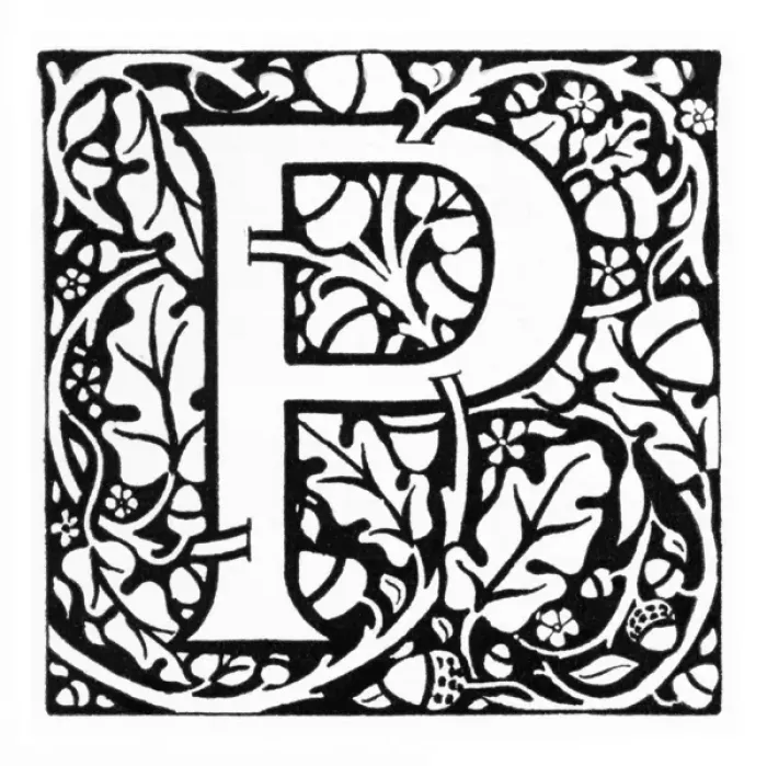 Gerahmter Druck : Zeremonielle Anfangsbuchstabe Gerahmter Druck : Zeremonielle Anfangsbuchstabe