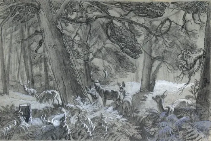 Gerahmter Druck : Tiere im Wald Gerahmter Druck : Tiere im Wald