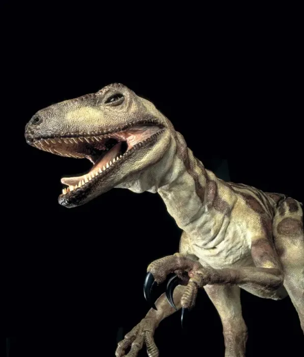 Gerahmter Druck : Deinonychus Gerahmter Druck : Deinonychus