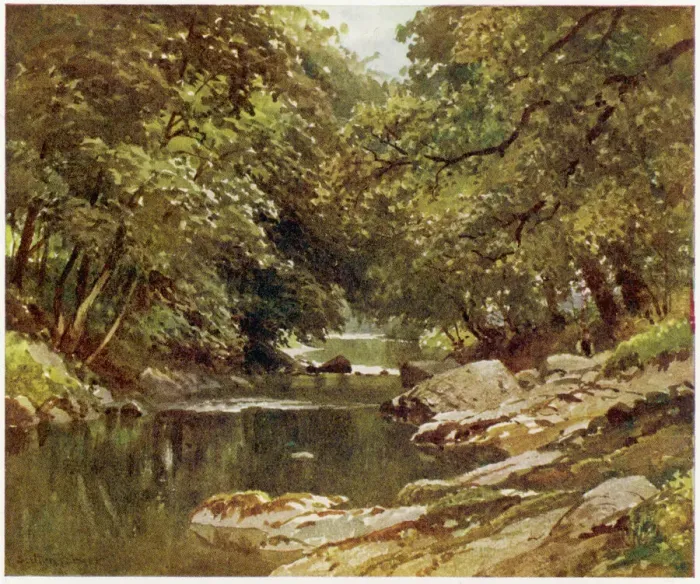 Gerahmter Druck : Devon / Taviry-Fluss 1909 Gerahmter Druck : Devon / Taviry-Fluss 1909