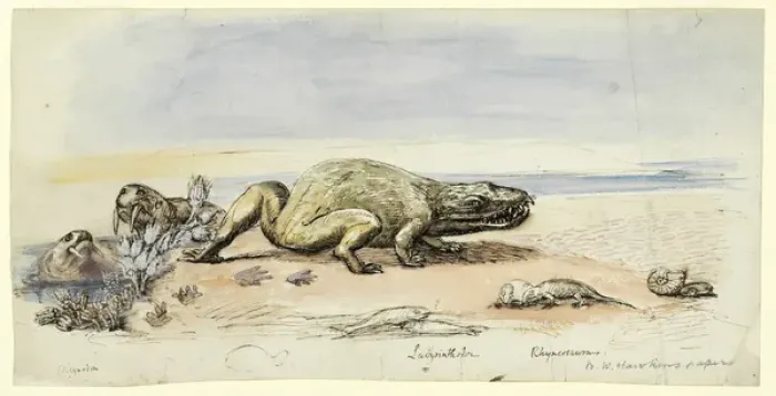 Gerahmter Druck : Dicynodont, Labyrinthodont und Rhynchosaurus Gerahmter Druck : Dicynodont, Labyrinthodont und Rhynchosaurus