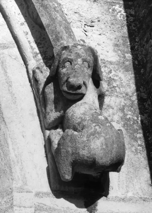 Gerahmter Druck : Hund Sphinx Gerahmter Druck : Hund Sphinx